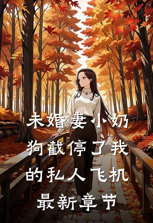 未婚妻小奶狗截停了我的私人飞机最新章节