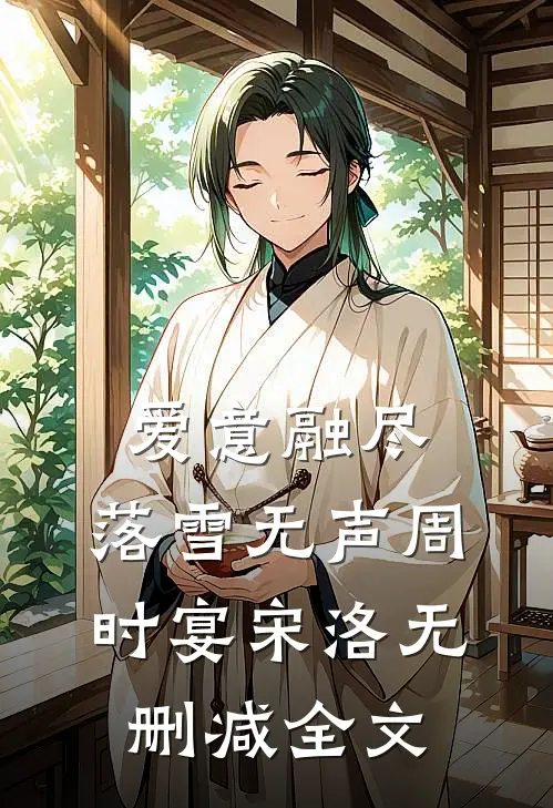 爱意融尽，落雪无声周时宴宋洛无删减全文