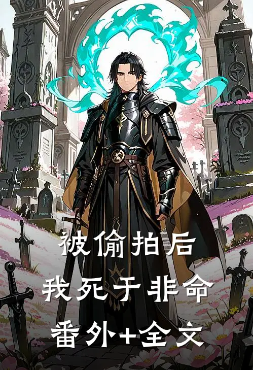 被偷拍后，我死于非命:(番外)+(全文)