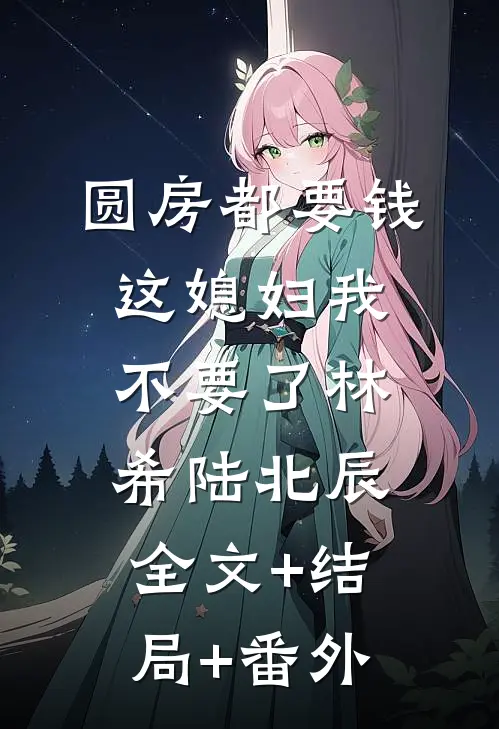 圆房都要钱这媳妇我不要了林希陆北辰:全文+结局+番外