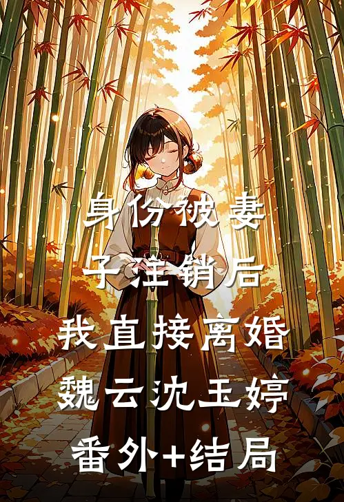 身份被妻子注销后，我直接离婚魏云沈玉婷:(番外)+(结局)