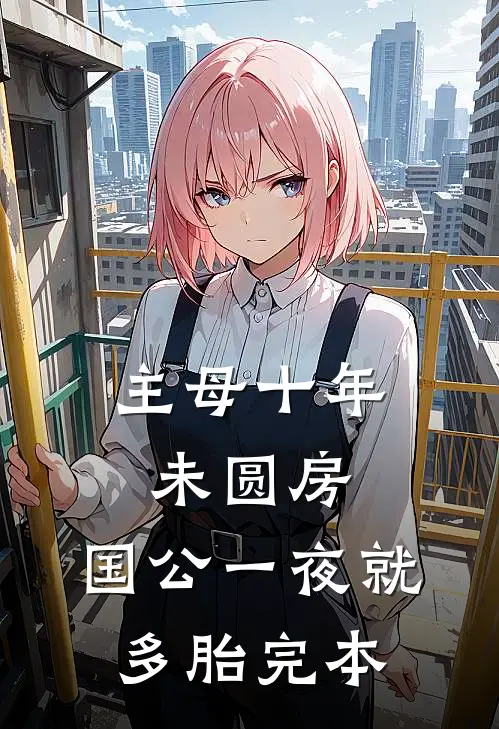 主母十年未圆房，国公一夜就多胎完本