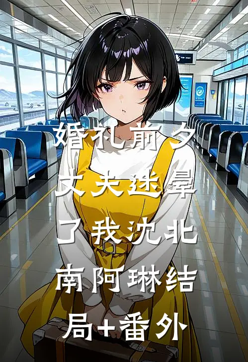 婚礼前夕，丈夫迷晕了我沈北南阿琳结局+番外