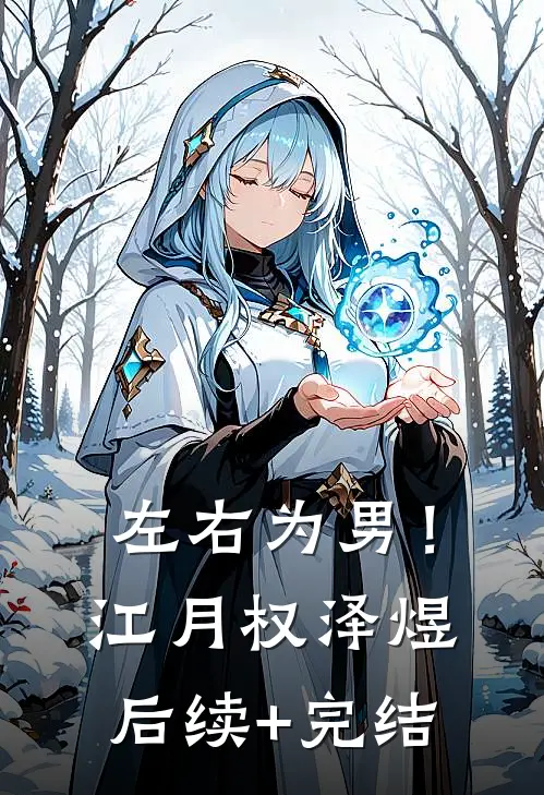 我的爱意，你的骗局无错版