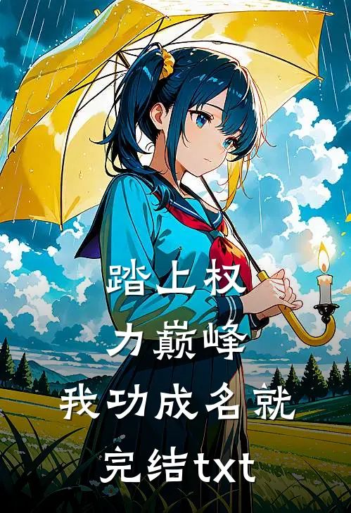 踏上权力巅峰，我功成名就完结txt